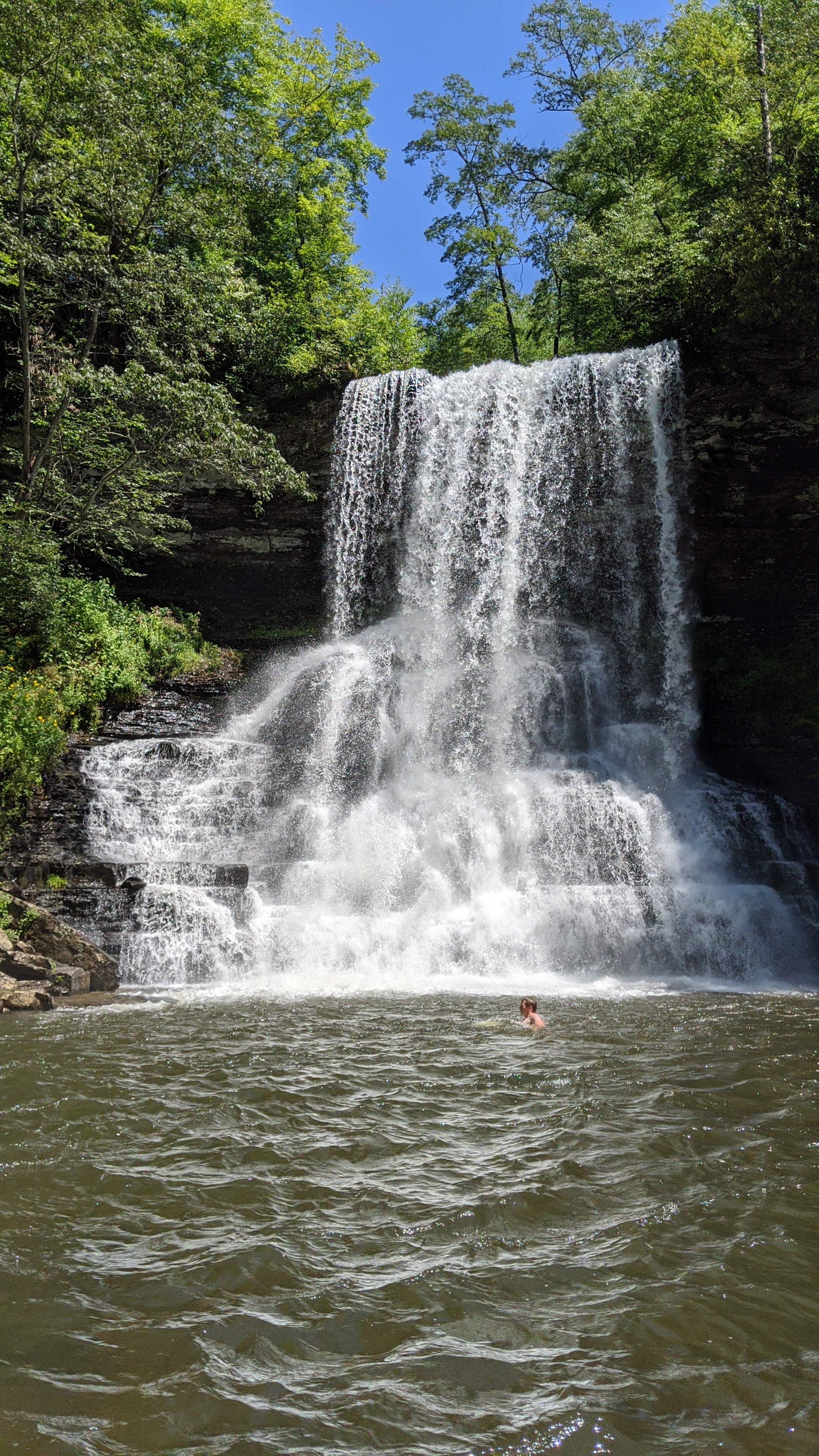 Summer falls